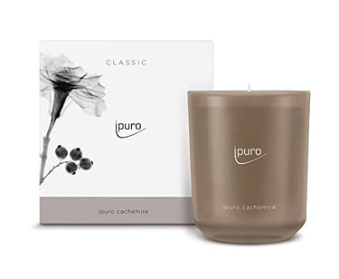 ipuro - decorative ipuro cachemire scented candle - minimalist scented candles in a 270 g glass jar - intense scented candles with delicate rose and fine cedarwood for a puristic fragrance experience on sale